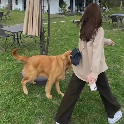 坏蛋狐狸的故事 海报